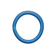 Flutuador Circular 55x6 cm - Azul