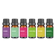 KIT Com 6 Óleos Essenciais Lavanda Alecrim Gerânio Capim Limão Tea Tree e Eucalipto Multilaser Saude - HC165