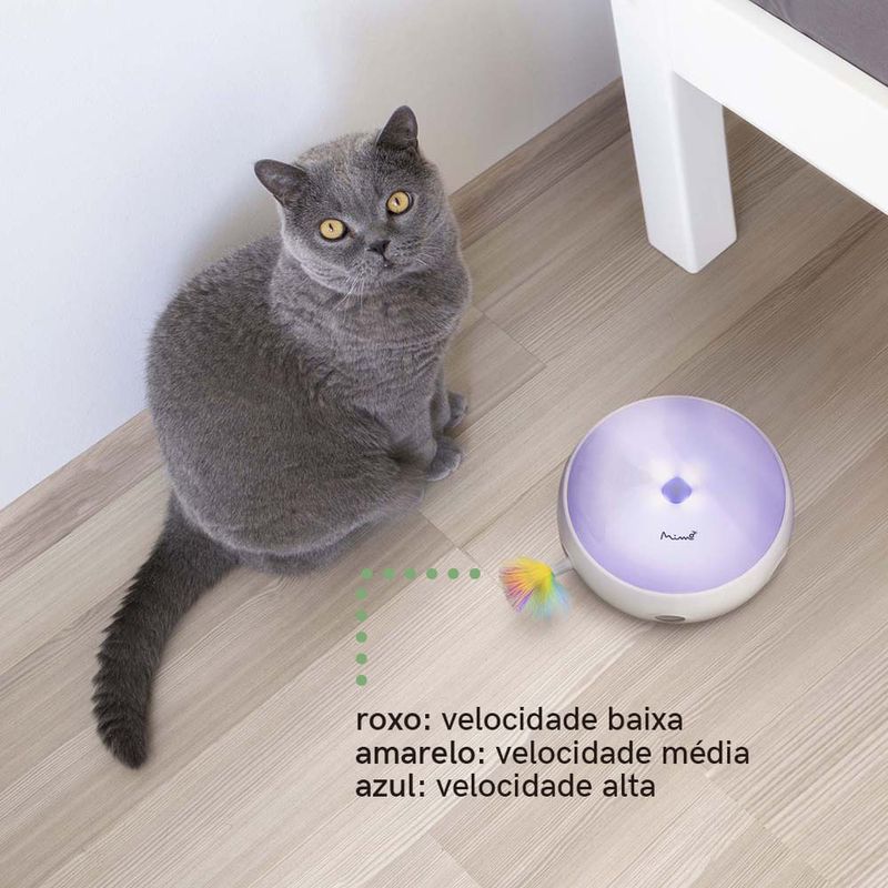 image-3b6fddef1be747aab5148e1e19e58241