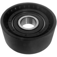 POLIA DESVIADORA CORREIA ALTERNADOR NISSAN-RENAULT - ZEN12838