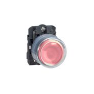 Botão 22mm Com Revestimento 1NA 1NF VM XB5AP45 - Schneider